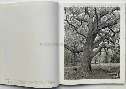 Mitch Epstein,NEW YORK ARBOR Mitch Epstein,NEW YORK ARBOR