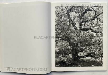 Mitch Epstein,NEW YORK ARBOR Mitch Epstein,NEW YORK ARBOR