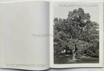 Mitch Epstein,NEW YORK ARBOR Mitch Epstein,NEW YORK ARBOR