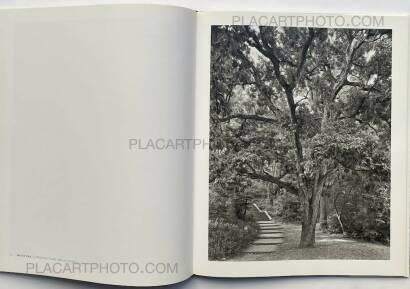 Mitch Epstein,NEW YORK ARBOR Mitch Epstein,NEW YORK ARBOR