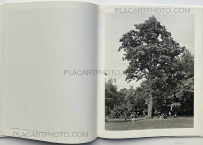 Mitch Epstein,NEW YORK ARBOR Mitch Epstein,NEW YORK ARBOR