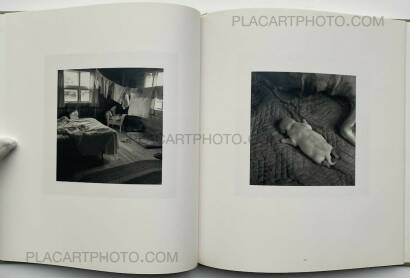 Susan Paulsen ,TOMATOES ON THE BACK PORCH  Susan Paulsen ,TOMATOES ON THE BACK PORCH