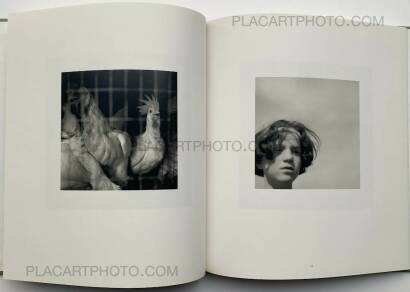 Susan Paulsen ,TOMATOES ON THE BACK PORCH  Susan Paulsen ,TOMATOES ON THE BACK PORCH