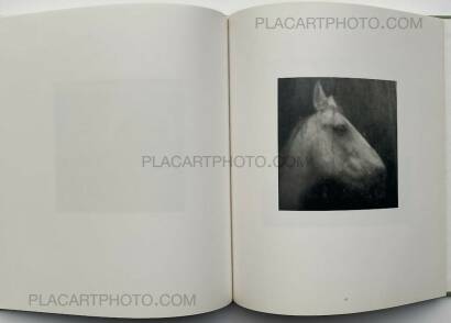 Susan Paulsen ,TOMATOES ON THE BACK PORCH  Susan Paulsen ,TOMATOES ON THE BACK PORCH