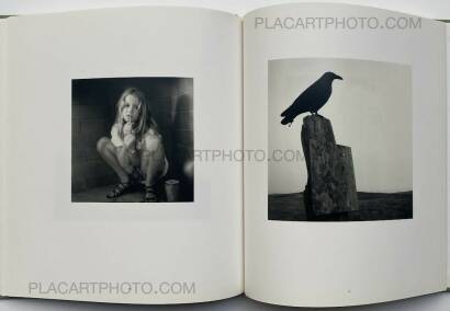 Susan Paulsen ,TOMATOES ON THE BACK PORCH  Susan Paulsen ,TOMATOES ON THE BACK PORCH