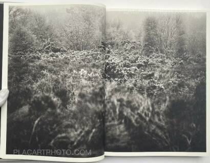 Kim Thue,LODE (Signed) Kim Thue,LODE (Signed)