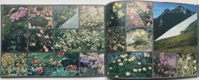 Yumiko Kiyomiya,OTOKO JOY (Set of 5) Yumiko Kiyomiya,OTOKO JOY (Set of 5)