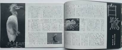 Yumiko Kiyomiya,OTOKO JOY (Set of 5) Yumiko Kiyomiya,OTOKO JOY (Set of 5)