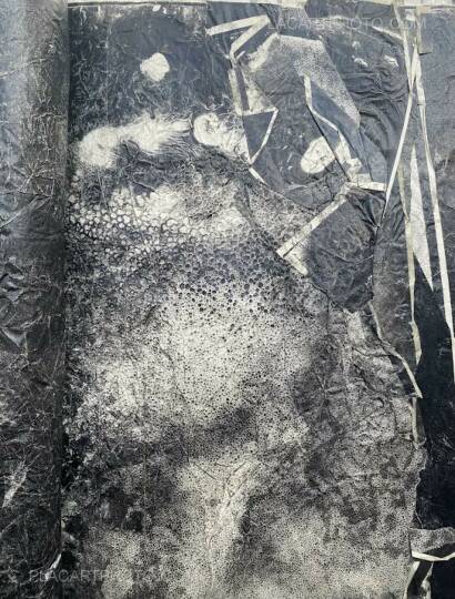 Daisuke Yokota,Matter waxed (Unique copy) Daisuke Yokota,Matter waxed (Unique copy)