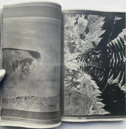 Daisuke Yokota,Inversion, Negative (Signed, display copy) Daisuke Yokota,Inversion, Negative (Signed, display copy)