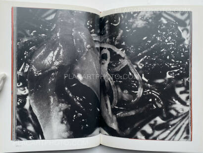 Nobuyoshi Araki,The Banquet Nobuyoshi Araki,The Banquet