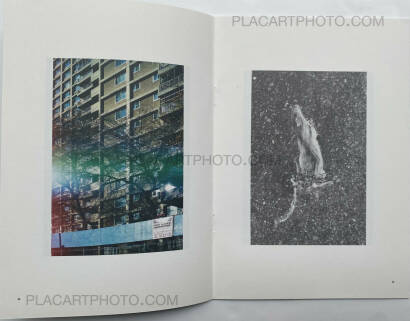 Collective,JP_ EN Issue.1 & Issue.2 Collective,JP_ EN Issue.1 & Issue.2