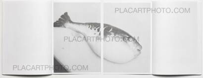 Collective,Floating Worlds Collective,Floating Worlds