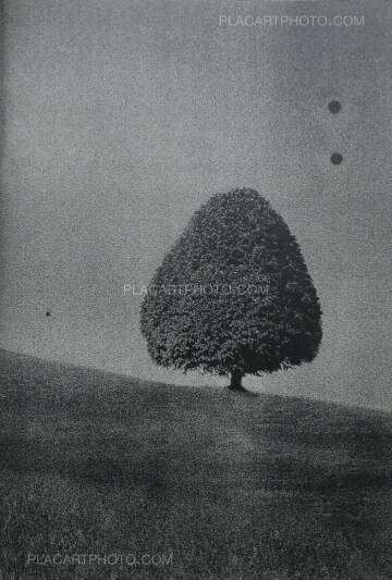 Daisuke Yokota,Site Daisuke Yokota,Site