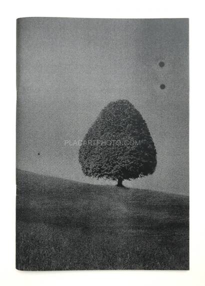 Daisuke Yokota,Site Daisuke Yokota,Site