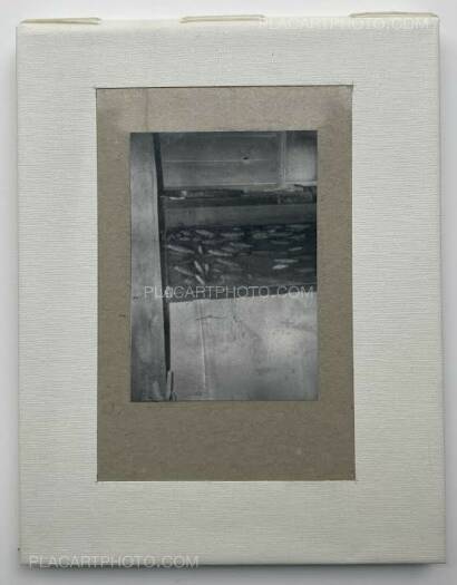 Daisuke Yokota,TEIKAI Wandering at Midnight (Collector's edition of 77) Daisuke Yokota,TEIKAI Wandering at Midnight (Collector's edition of 77)