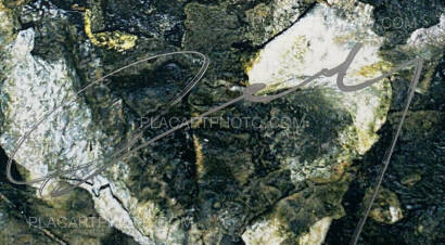 Daisuke Yokota,Cool in the Pool (Signed) Daisuke Yokota,Cool in the Pool (Signed)