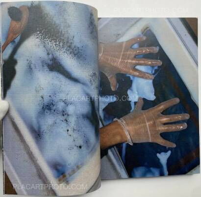 Daisuke Yokota,Cool in the Pool (Signed) Daisuke Yokota,Cool in the Pool (Signed)