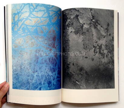 Daisuke Yokota,IMMERSE Daisuke Yokota,IMMERSE