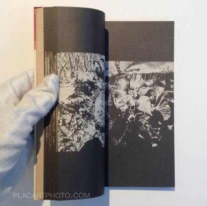 Daido Moriyama,Tono Monogatari/ Tales of Tono (Signed and dated the year of the publication) Daido Moriyama,Tono Monogatari/ Tales of Tono (Signed and dated the year of the publication)