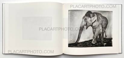 Michael Ackerman,END TIME CITY Michael Ackerman,END TIME CITY