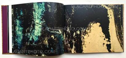 Kazuma Obara,Exposure Kazuma Obara,Exposure