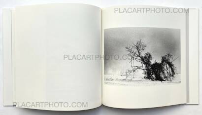 Hajime Kimura,Kodama (Signed and numbered) Hajime Kimura,Kodama (Signed and numbered)