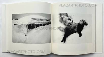 Hajime Kimura,Kodama (Signed and numbered) Hajime Kimura,Kodama (Signed and numbered)