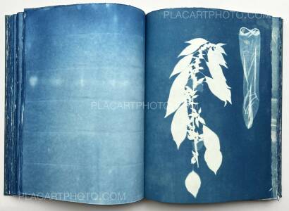 Thomas Mailaender,CYANOTYPES (Unique, signed and numbered) Thomas Mailaender,CYANOTYPES (Unique, signed and numbered)