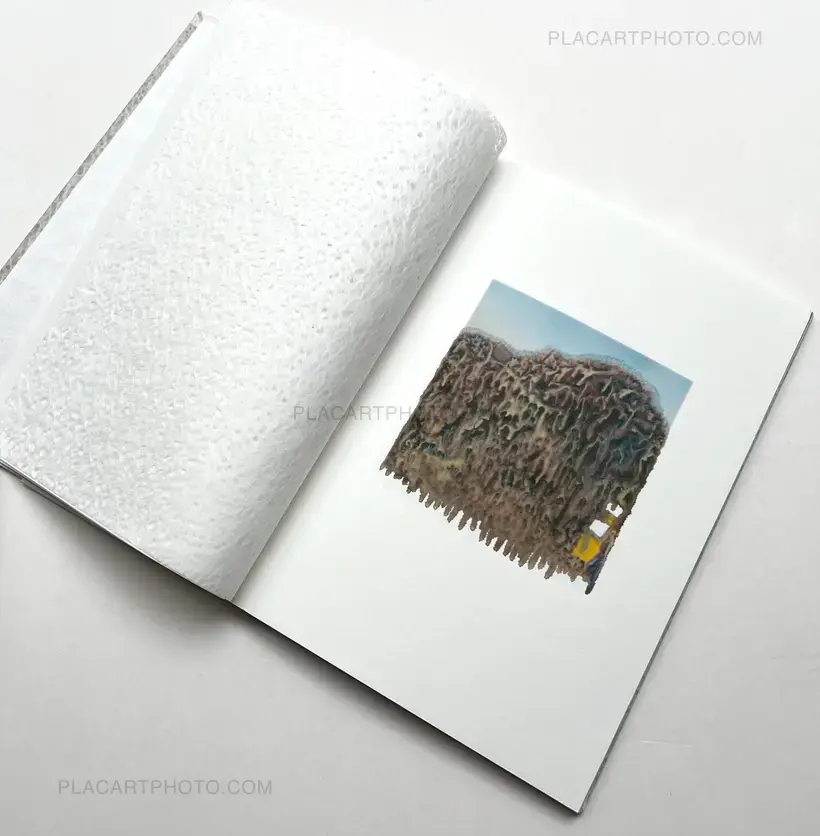 Sayo Senoo – Lands that shed tears (Edt of 30. Signed and numbered)