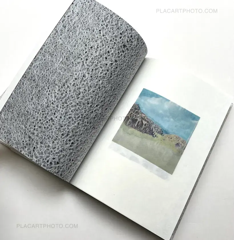 Sayo Senoo – Lands that shed tears (Edt of 30. Signed and numbered)