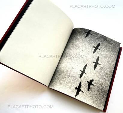 Pia Elizondo,Death is a bride (Signed and numbered) Pia Elizondo,Death is a bride (Signed and numbered)