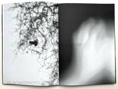 Julia Bohle,SOLSTICE (Signed and numbered, edt of 10) Julia Bohle,SOLSTICE (Signed and numbered, edt of 10)