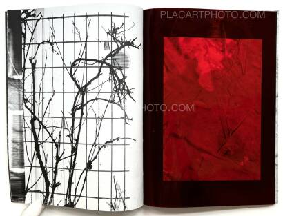 Julia Bohle,SOLSTICE (Signed and numbered, edt of 10) Julia Bohle,SOLSTICE (Signed and numbered, edt of 10)