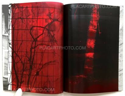 Julia Bohle,SOLSTICE (Signed and numbered, edt of 10) Julia Bohle,SOLSTICE (Signed and numbered, edt of 10)