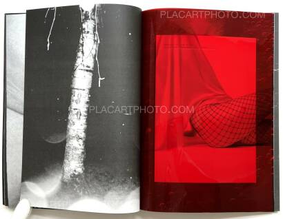 Julia Bohle,SOLSTICE (Signed and numbered, edt of 10) Julia Bohle,SOLSTICE (Signed and numbered, edt of 10)