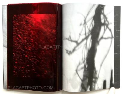 Julia Bohle,SOLSTICE (Signed and numbered, edt of 10) Julia Bohle,SOLSTICE (Signed and numbered, edt of 10)