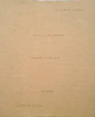 Miho Kajioka – And where did the peacocks go ? (SIGNED TRUE FIRST EDT ONLY 50 COPIES)