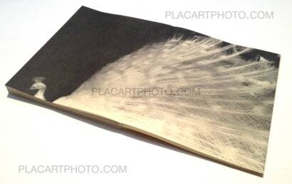 Miho Kajioka,And where did the peacocks go ? (SIGNED TRUE FIRST EDT ONLY 50 COPIES) Miho Kajioka,And where did the peacocks go ? (SIGNED TRUE FIRST EDT ONLY 50 COPIES)