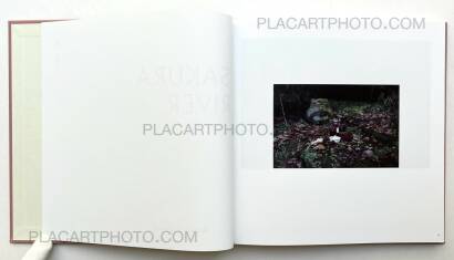 Atsushi Fujiwara,Sakura River (SIGNED) Atsushi Fujiwara,Sakura River (SIGNED)