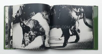 Daido Moriyama,Japan, a Photo Theater II Daido Moriyama,Japan, a Photo Theater II