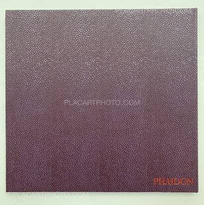 Gueorgui Pinkhassov,Sightwalk Gueorgui Pinkhassov,Sightwalk