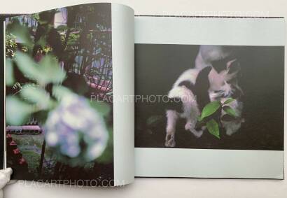 Gueorgui Pinkhassov,Sightwalk Gueorgui Pinkhassov,Sightwalk