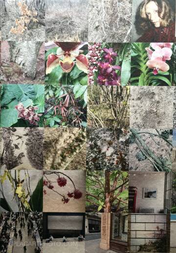 Hans Ulrich Obrist,STEPHEN SHORE INSTAGRAM (LTD EDT OF 200 copies)