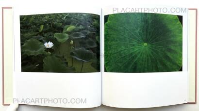 Atsushi Fujiwara,Sakura River (Special edition SE#6)   Atsushi Fujiwara,Sakura River (Special edition SE#6)