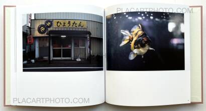 Atsushi Fujiwara,Sakura River (Special edition SE#6)   Atsushi Fujiwara,Sakura River (Special edition SE#6)