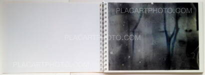 Daisuke Yokota,Toransupearento (Signed) Daisuke Yokota,Toransupearento (Signed)