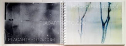 Daisuke Yokota,Toransupearento (Signed) Daisuke Yokota,Toransupearento (Signed)