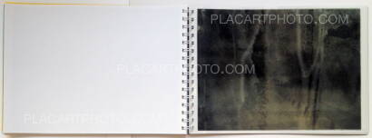 Daisuke Yokota,Toransupearento (Signed)