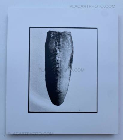 Chan Wai Kwong,HONG KONG SUMMER : DOUBLE SUICIDE (SIGNED) Chan Wai Kwong,HONG KONG SUMMER : DOUBLE SUICIDE (SIGNED)